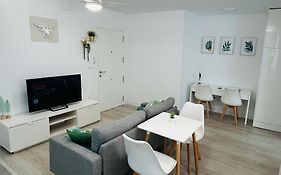 SILVER -Apartamentos Birdie-